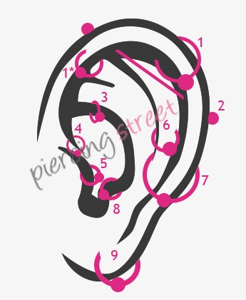 différents emplacements de piercings à l'oreille
