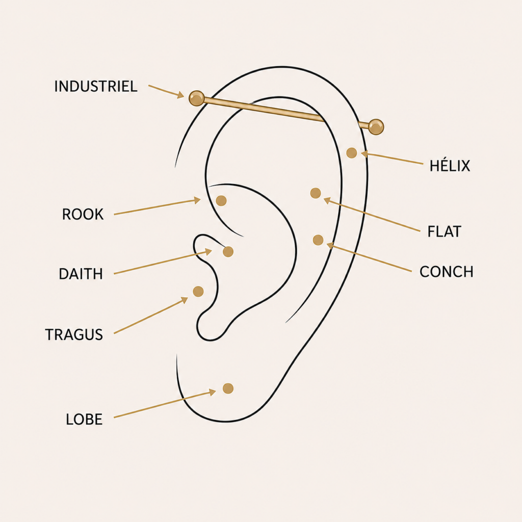 Les différents piercings d'oreille
